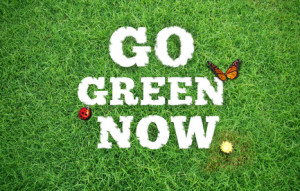 go green now