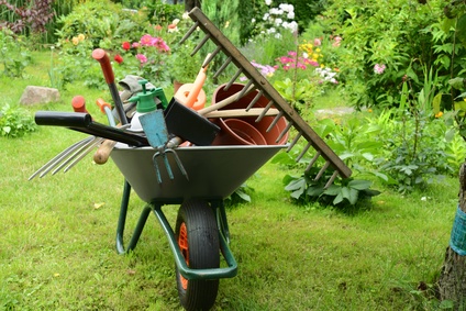 Wheel barrow with garden tools